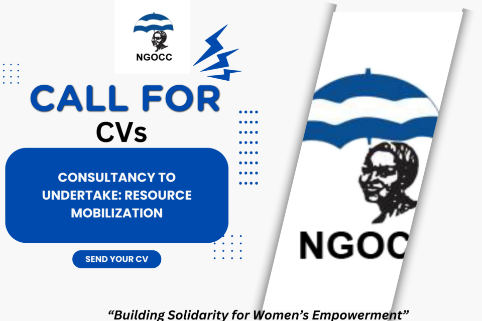 Advert: Consultancy- Resource Mobilization