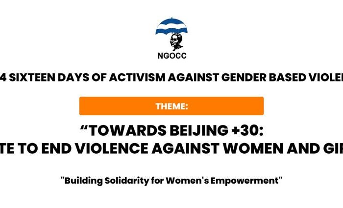 About the 2024 Sixteen Days of Activism Against GBV